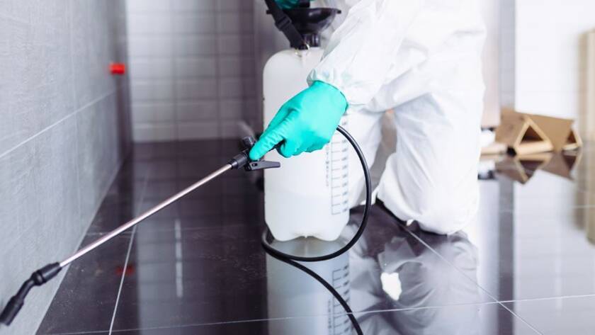 Tahta kurusu ilaçlama Başakşehir