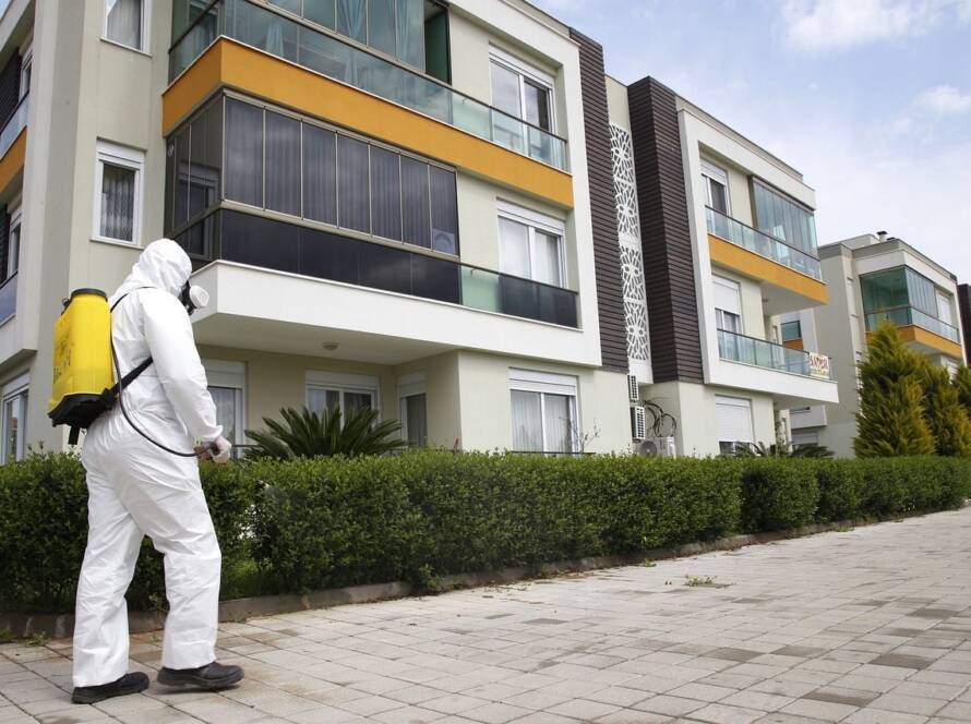 Tahta kurusu ilaçlama Esenler