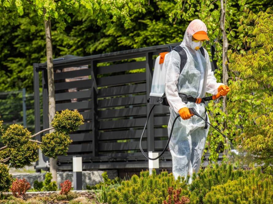 Tahta kurusu ilaçlama Silivri