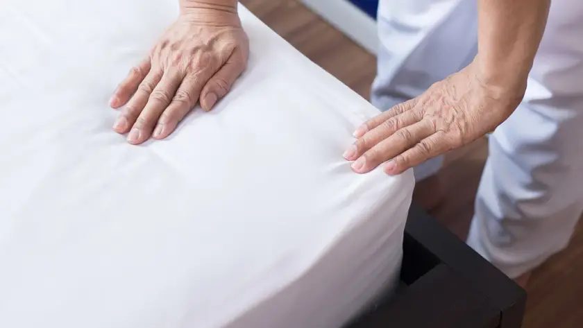 Yenikent tahta kurusu ilaçlama