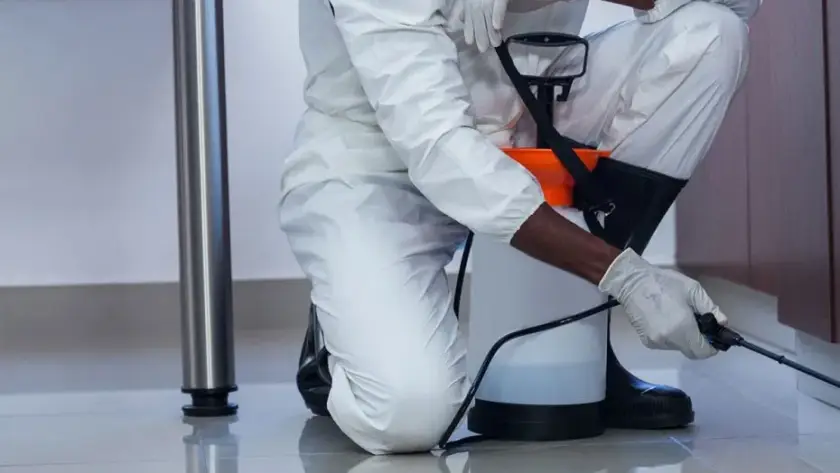 Yükseltepe böcek ilaçlama hizmeti