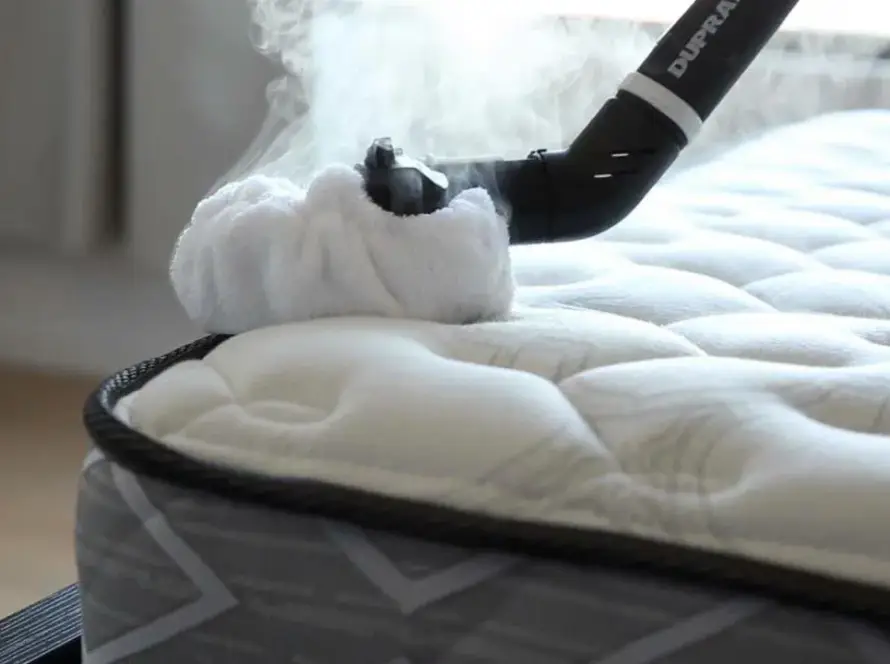 Yenidoğan tahta kurusu ilaçlama