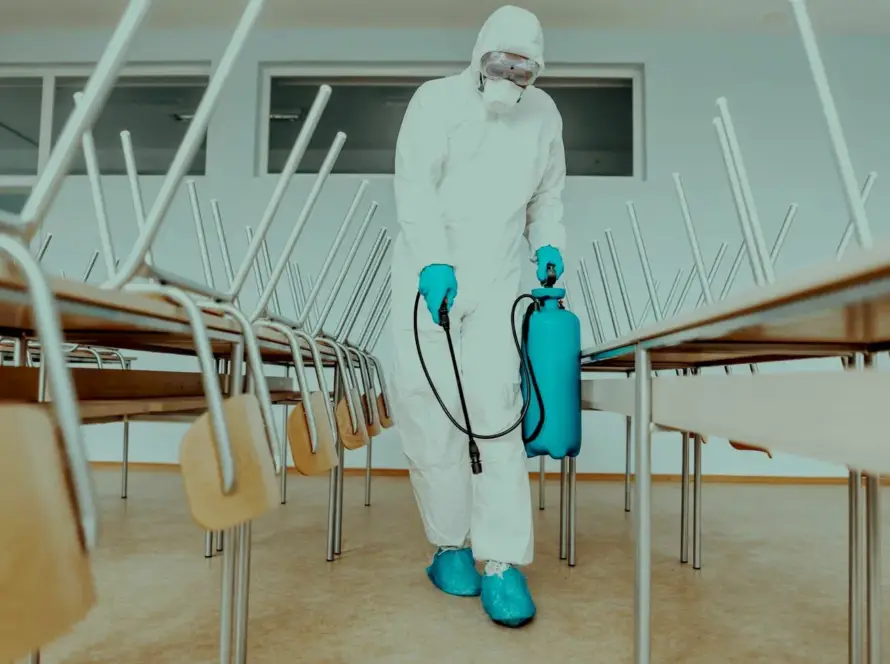 Dışkapı tahta kurusu ilaçlama