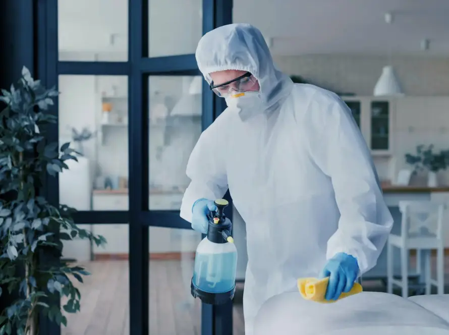 Evren tahta kurusu ilaçlama