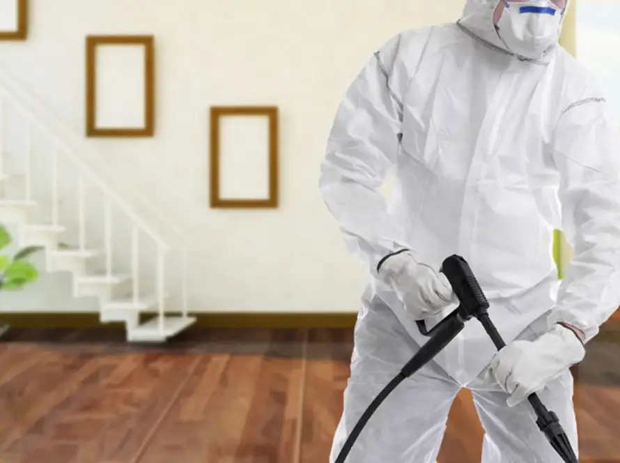 Hacıkadın tahta kurusu ilaçlama