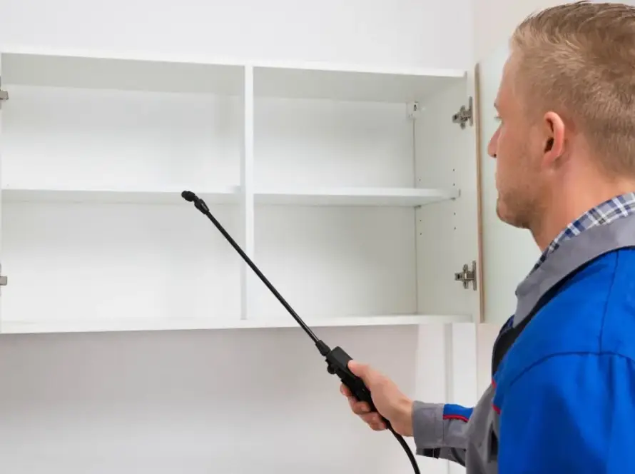 Söğütözü tahta kurusu ilaçlama