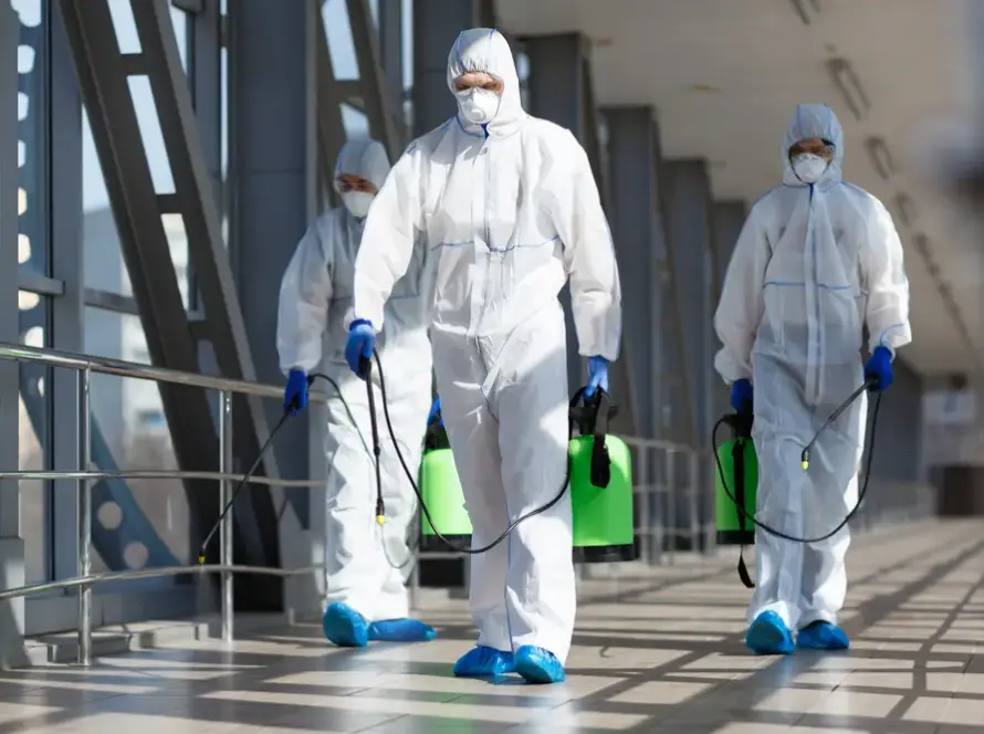 Kale tahta kurusu ilaçlama