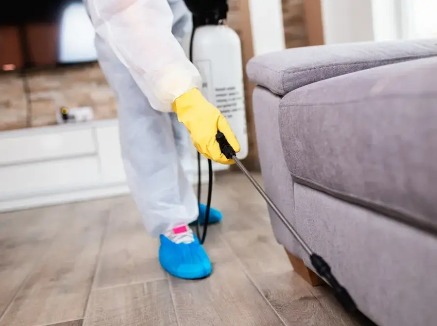 Kasalar tahta kurusu ilaçlama