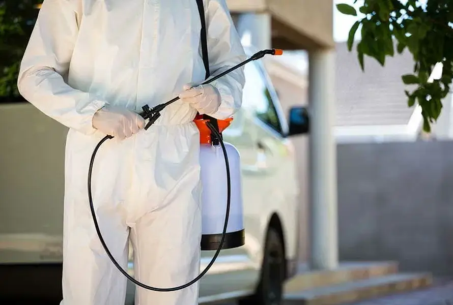 Kızılcahamam tahta kurusu ilaçlama