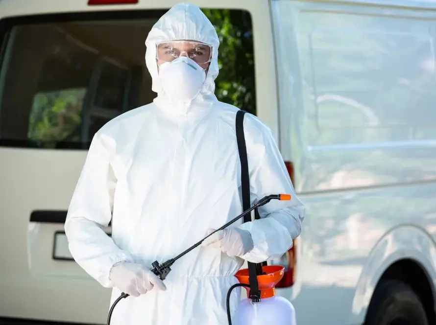 Piyangotepe tahta kurusu ilaçlama