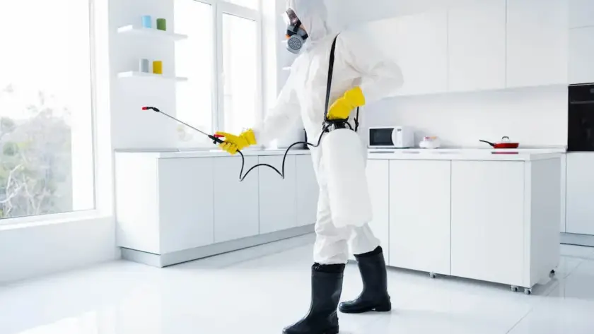 Şereflikoçhisar tahta kurusu ilaçlama