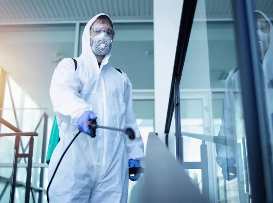 Aktepe tahta kurusu ilaçlama